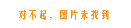 pro2000高级剥线器